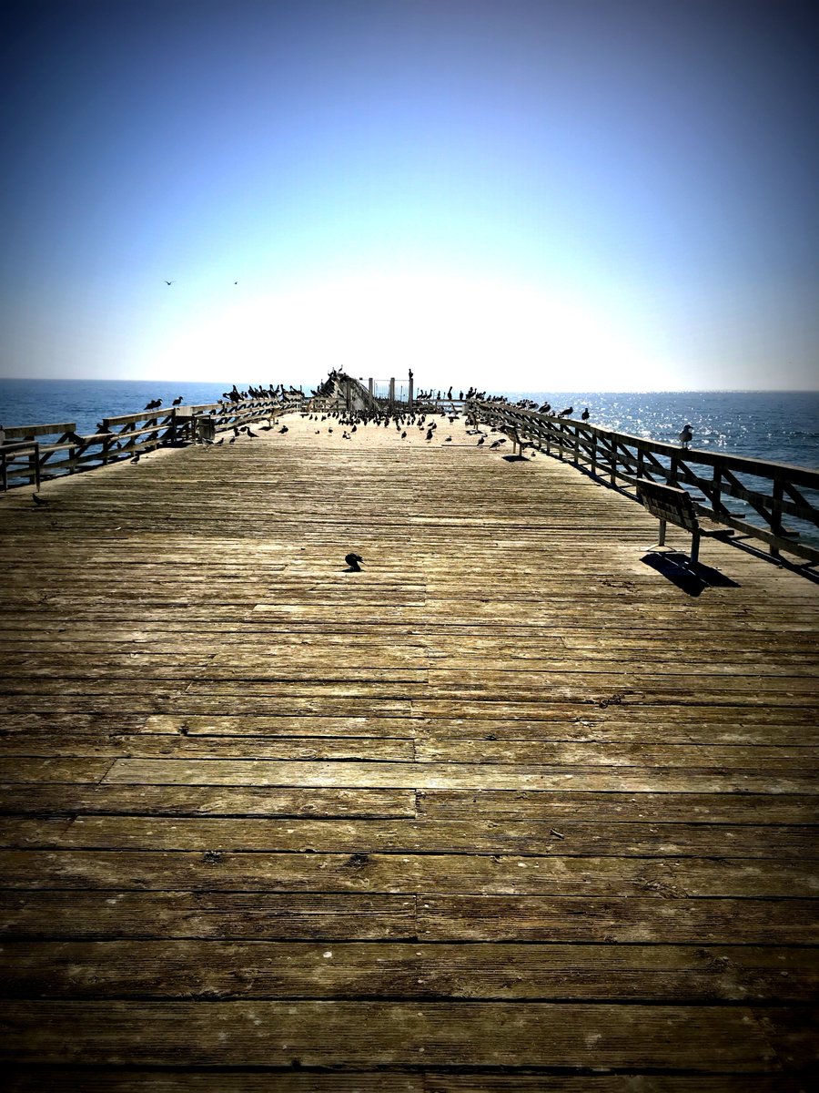 ckodonnell's tweet photo. Santa Cruz, CA https://t.co/D9FjjiOC2e