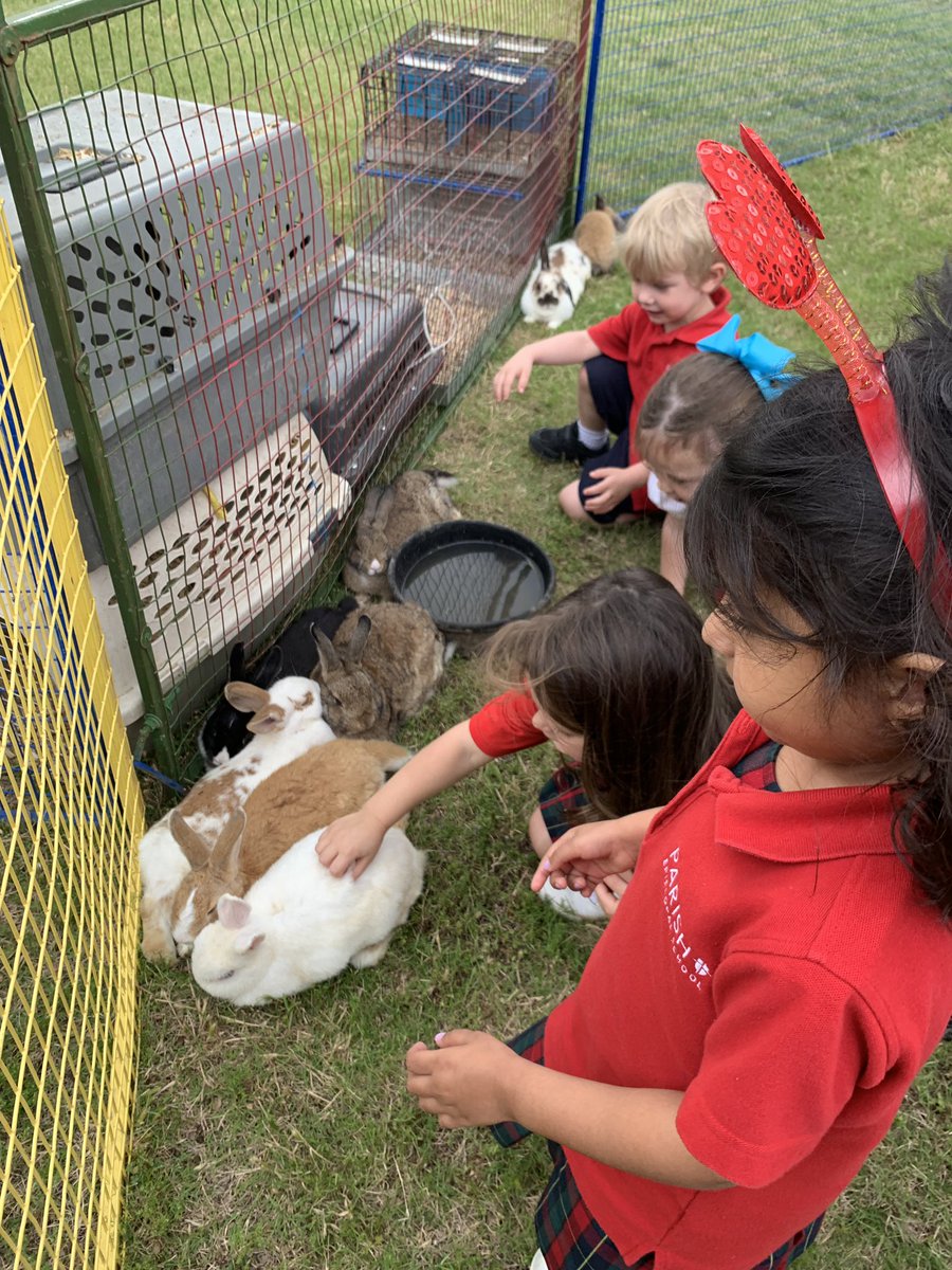 Mrs. Benjamin & Mrs. Proctor tweet media