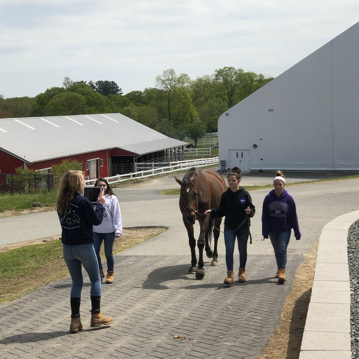 ENSCompanion's tweet photo. CA Freshmen filming the pilot episodes for HHHGTV (Horse Handling Haltering &amp; Grooming Television). https://t.co/PCpX6BVdu0