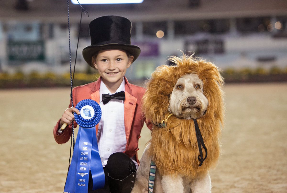 Devon Horse Show tweet media