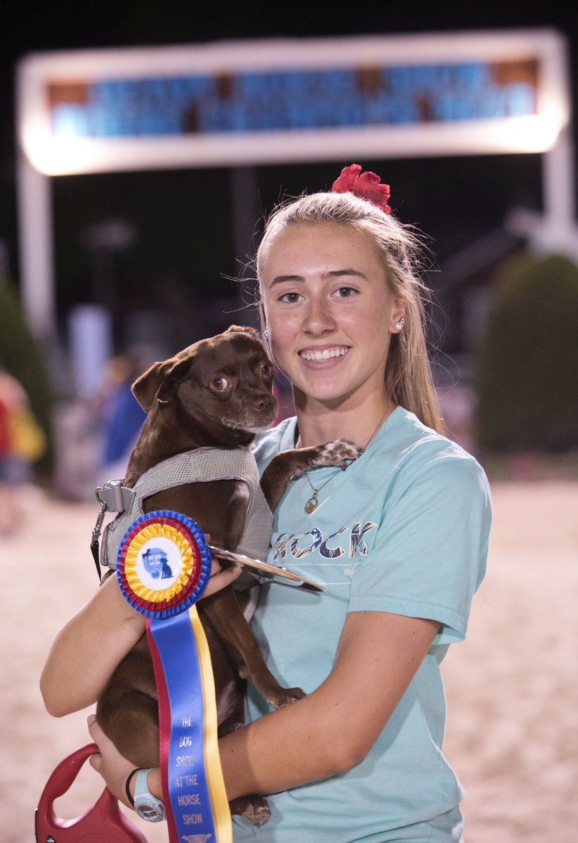 Devon Horse Show tweet media