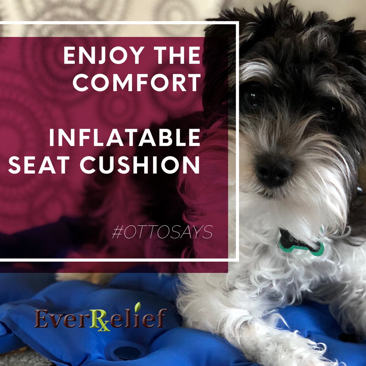 EverRelief's tweet photo. Bleachers, benches and folding chairs can be uncomfortable. Be sure to take a Inflatable Seat Cushion with you wherever you go. #EverRelief #OttoSays https://t.co/JcnVzfqV8E