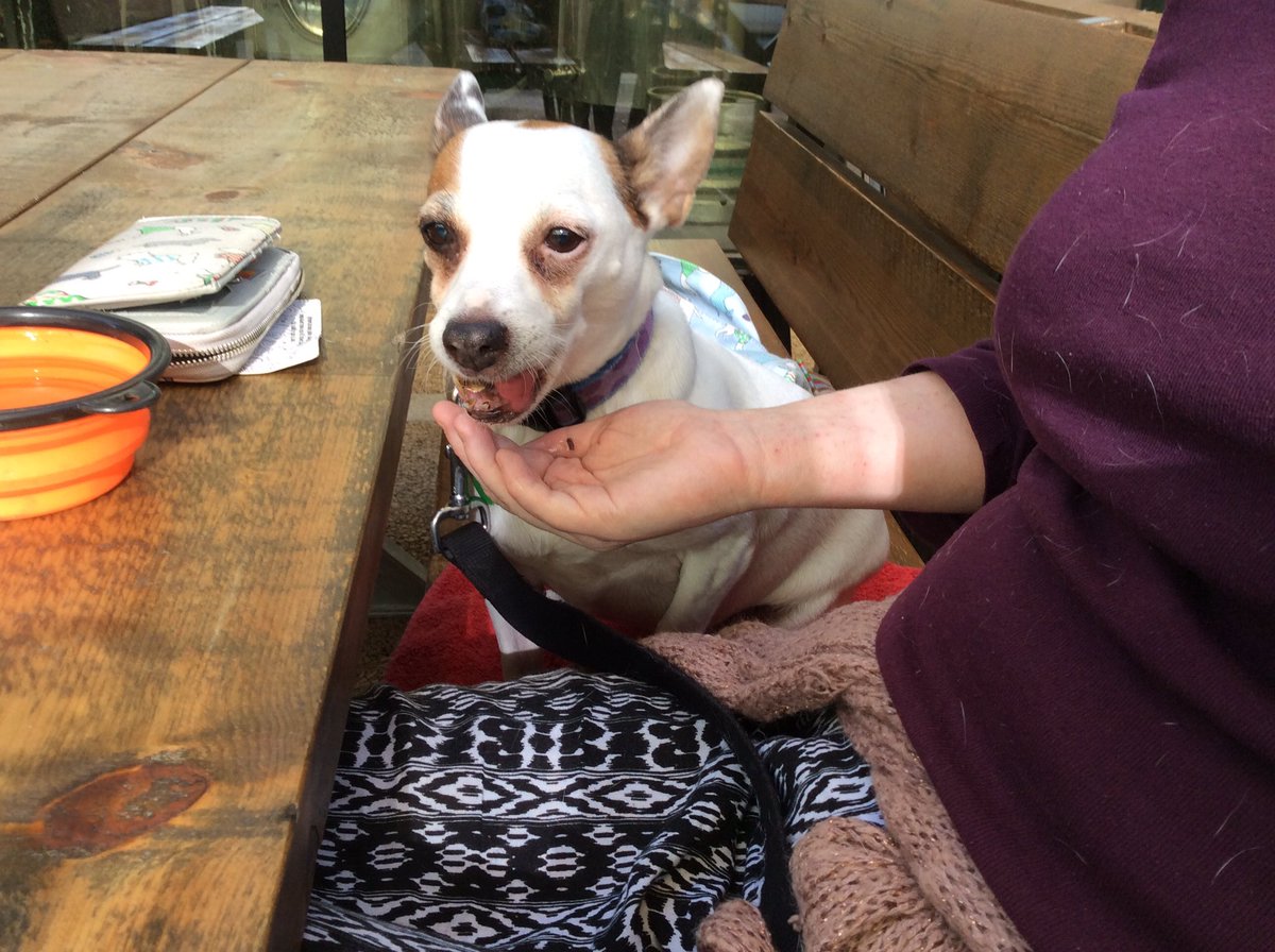 logo_lily's tweet photo. I have discovered biltong at @BatterseaBrew.
Totally #livingmybestlife 
#MakingMemories https://t.co/HFwH1bwElo