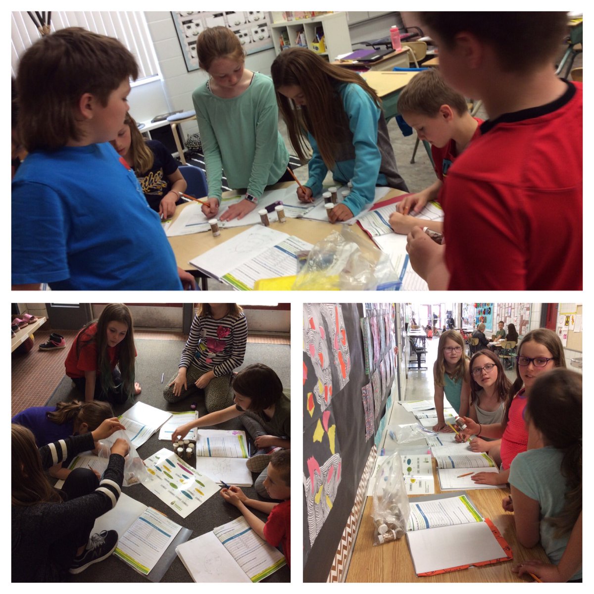 upsgrade4T's tweet photo. Seed classification - identifying seeds grown on SK farms 
#agricultureintheclassroom https://t.co/llxlEjvYFb