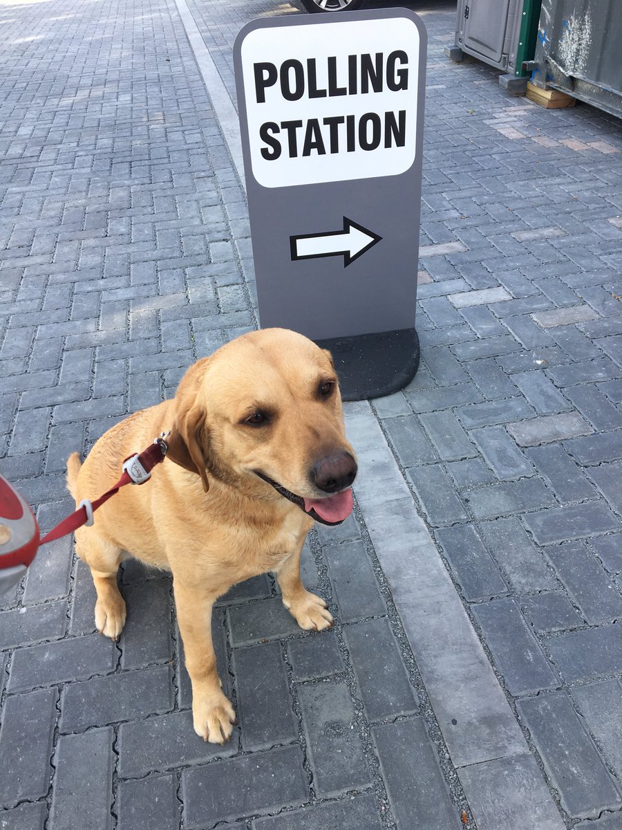 Chambers_and_Co's tweet photo. Job done! #dogsatpollingstations https://t.co/E7Vv5JHulP