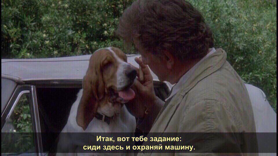 tymoyalastochka's tweet photo. ❤️ https://t.co/qCRZdA2JKy