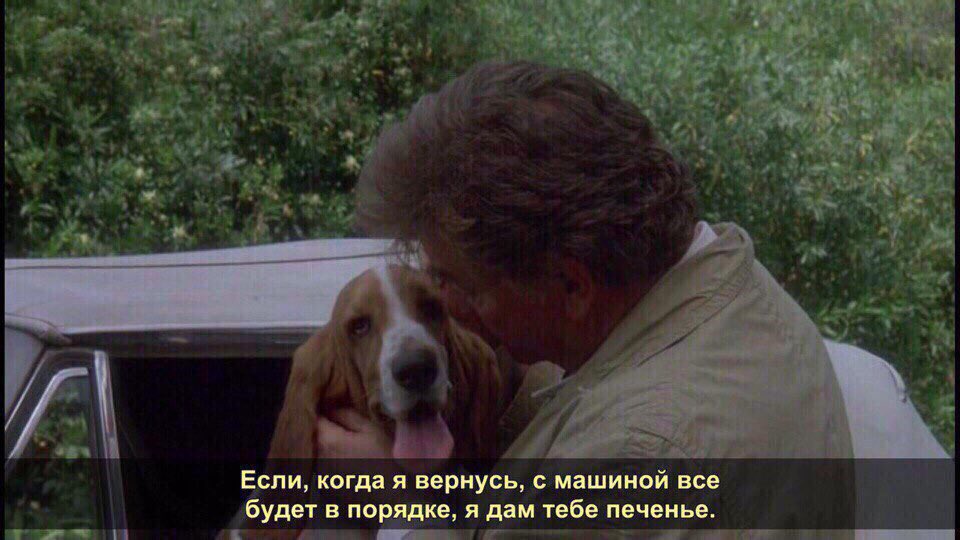 tymoyalastochka's tweet photo. ❤️ https://t.co/qCRZdA2JKy