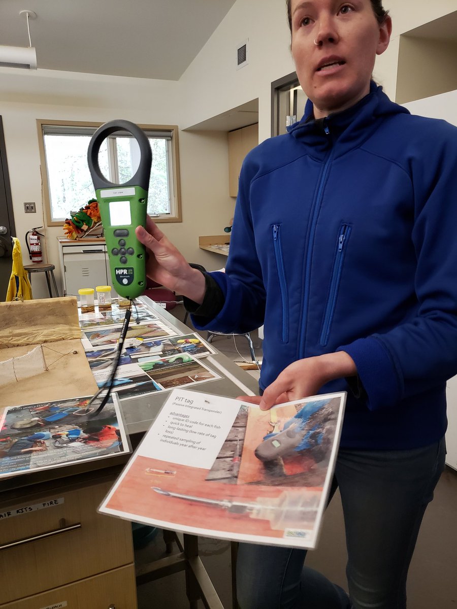 R_mmoore's tweet photo. And here are some snaps from the fish lab where @IISD_ELA researchers monitor fish movement, impact of contaminants like #mercury, impact of #climatechange and have developed techniques that enable fish to live through many of these tests. E.g. #gastriclavage delivers #fishpuke https://t.co/9iSWWVjbam