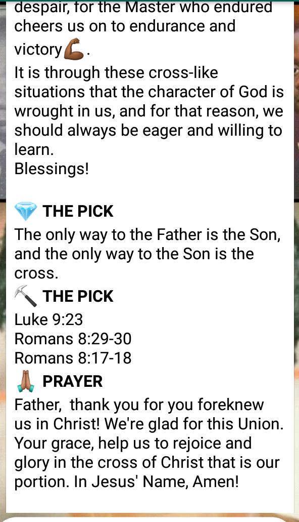 MlsFellowship's tweet photo. #DailyDevotional https://t.co/7EeKIz7mju