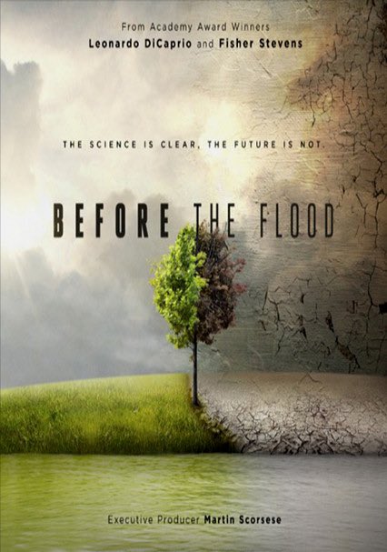 beateopp's tweet photo. This!!! @BeforeTheFIood  #MustSee https://t.co/7njpPCuiDg