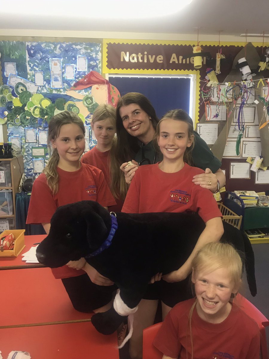 longbennac's tweet photo. Thank you to our amazing team who did a wonderful talk to EYFS about being a vet!! #scienceweek #parent #jobs #iwanttobeavet https://t.co/65XRJofJQQ