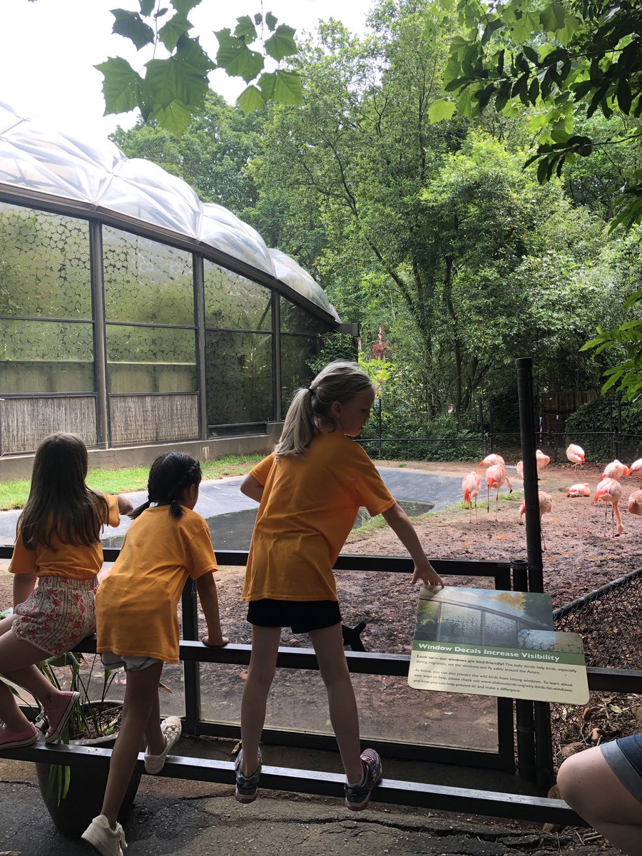 mlasater's tweet photo. What a funday with @Smith_Seabees exploring the @NCZoo https://t.co/n9d5sLmhq7