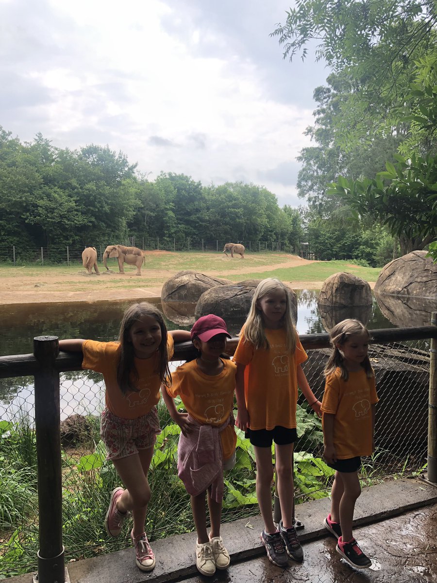mlasater's tweet photo. What a funday with @Smith_Seabees exploring the @NCZoo https://t.co/n9d5sLmhq7