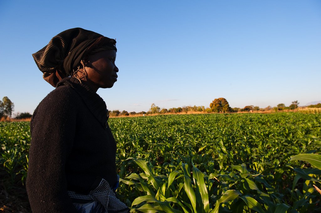 A simple formula: 
#Agriculture🌱 + industry, manufacturing and processing capability🏭 = strong and sustainable economic #development 🌍