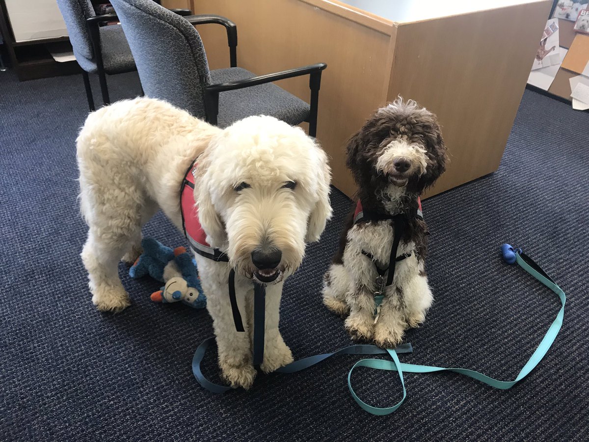 Two good boys visiting the Advising Center today!