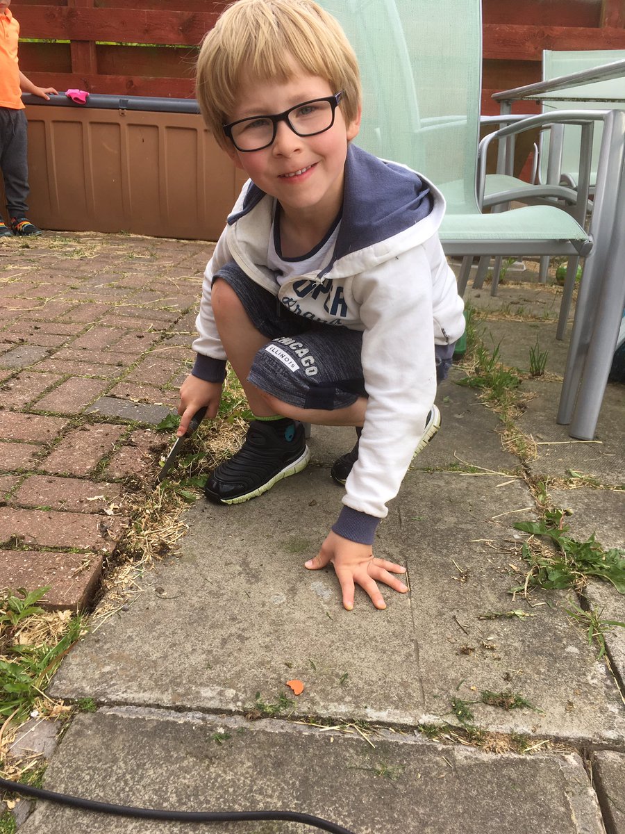 Lynnabella's tweet photo. @mattocks_ps Quinn has an evening of gardening and even decided to do some weeding. Rogan too but no pics if rogan as his help was super fast!! #MM4Matocks https://t.co/DQI0krzhp8