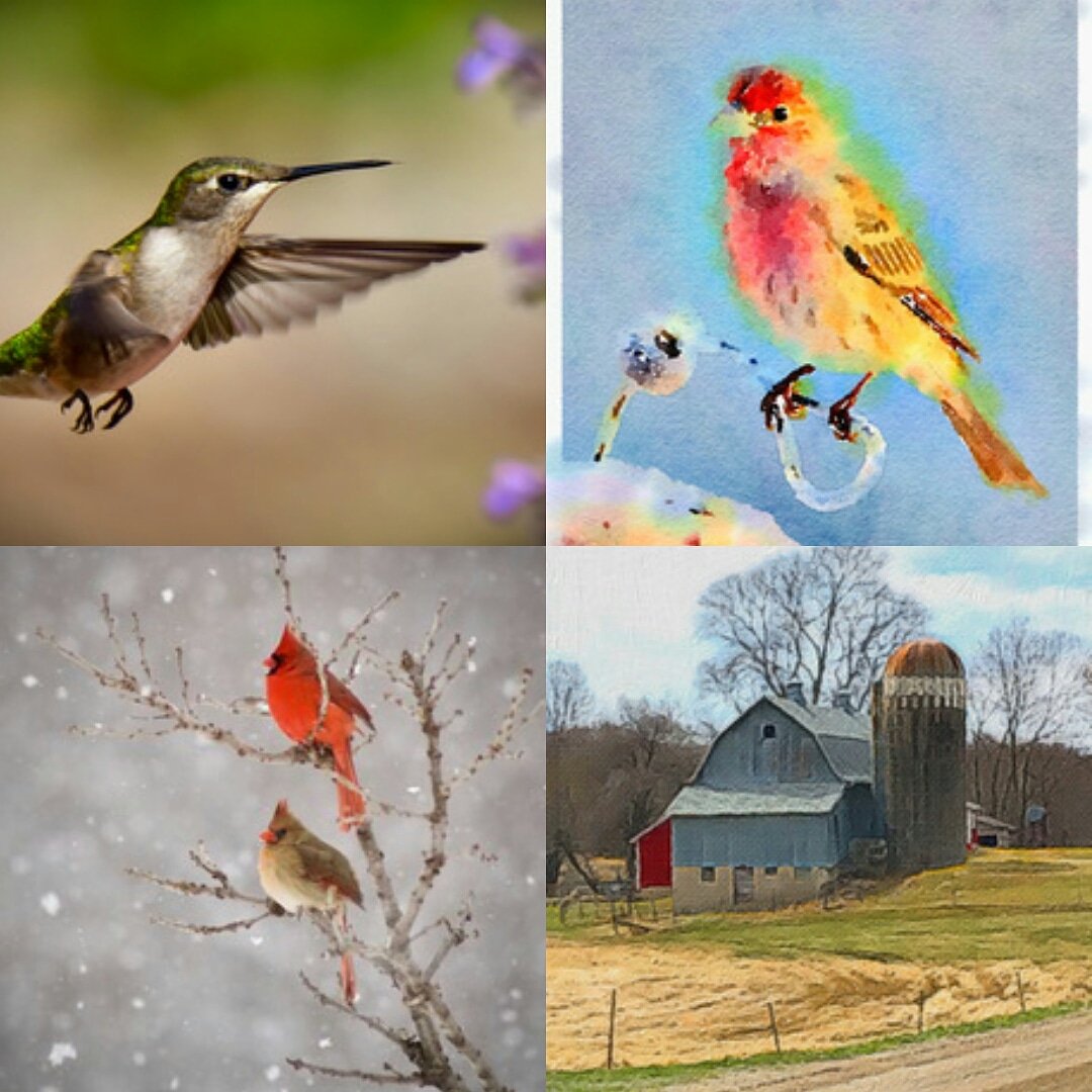 Welcome Mare Sullivan of #brightskyphotography as a Delano Wine and Art Fair #artvendor  #mnartist #wildlife #countrycharm #prettyasapicture #Minnesota #photographers if you want to participate as a #Minnesota #winery or #artist email delanowineandartfair@gmail.com for info