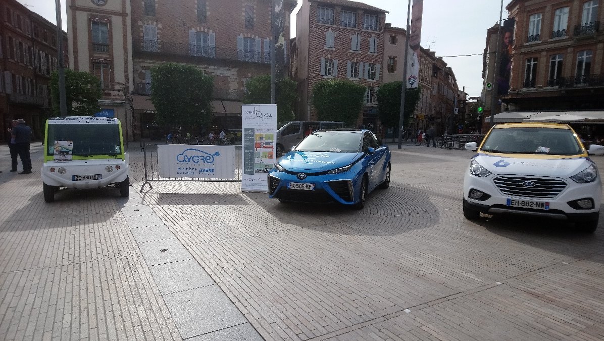 Une petite pousse parmi les grandes... #hydrogen #ElectricVehicles <a href="/AlbiEcoRace/">AlbiEcoRace</a> <a href="/AvereFrance/">Avere-France ⚡️</a> <a href="/ville_albi/">Ville d'Albi</a>