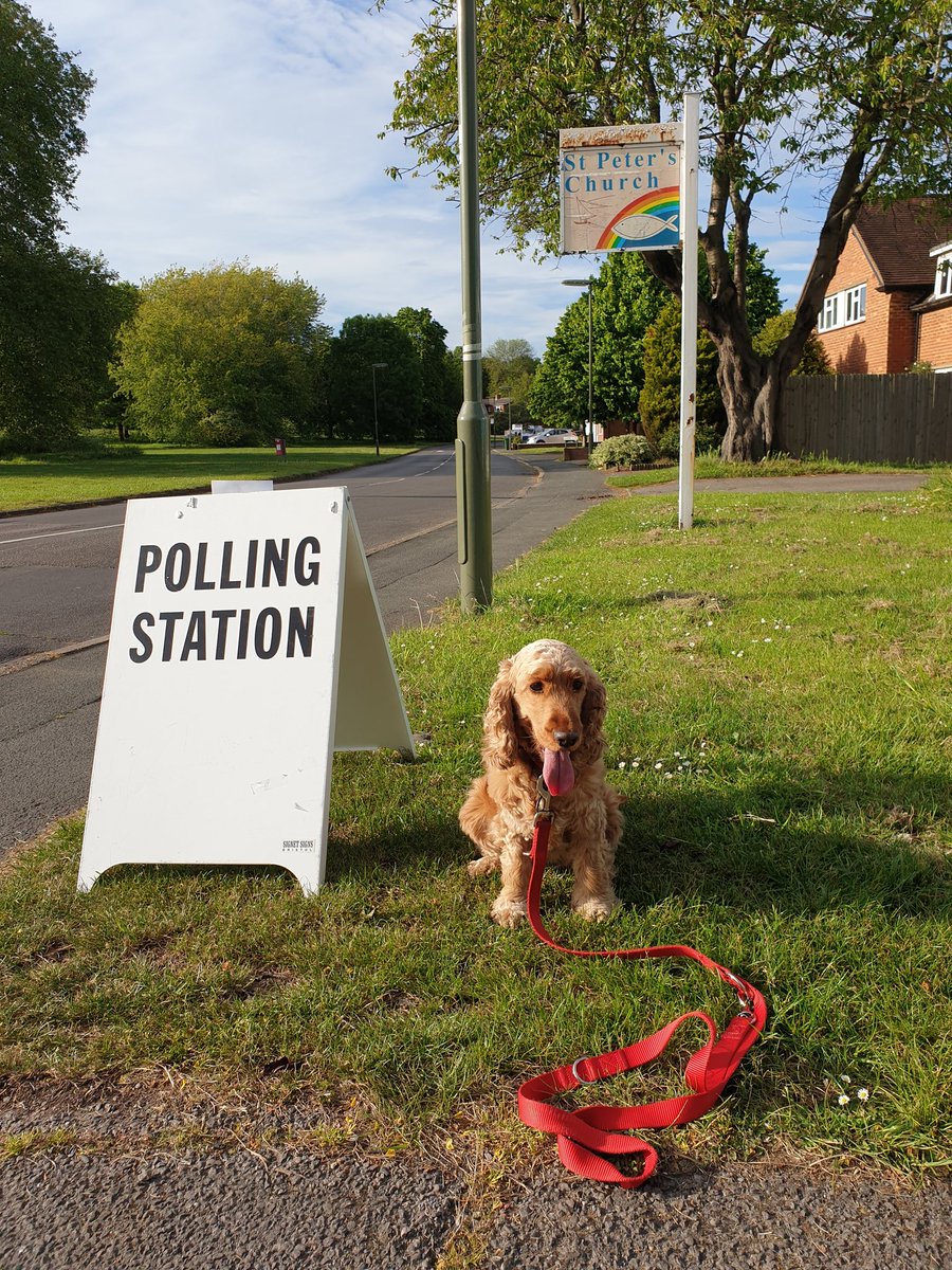 HammettJeremy's tweet image. #dogsatpollingstations #voteruby