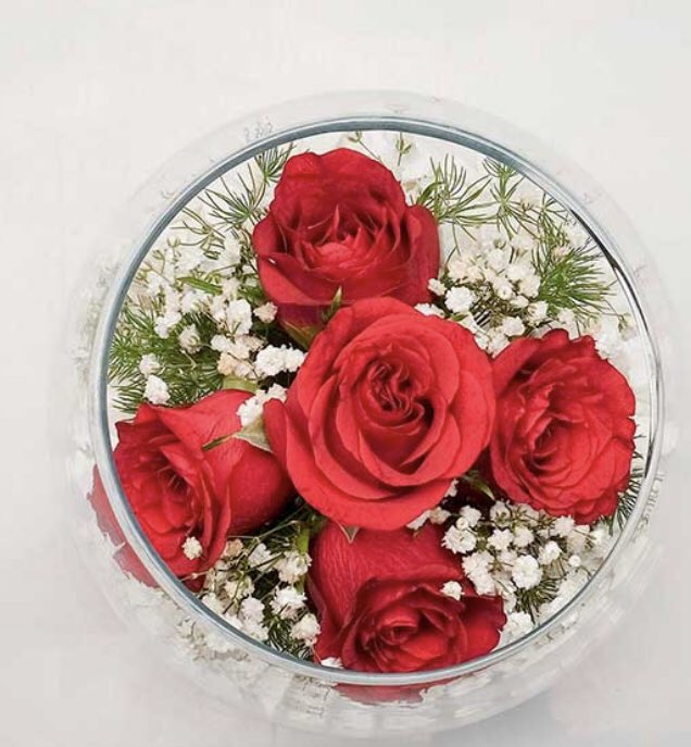 instagram.com/p/BxzunoChi3a/…
Takipleşelim