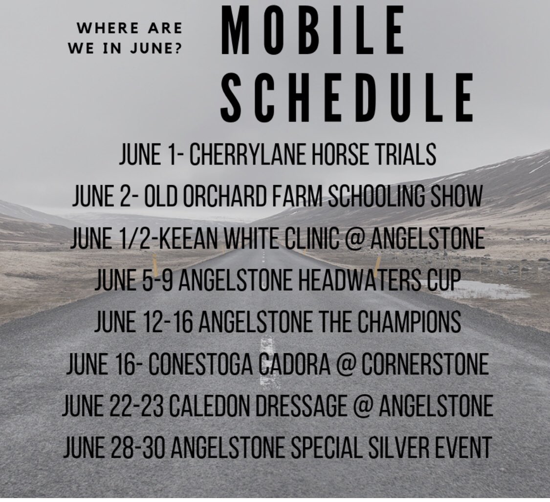 Willow Equestrian tweet media