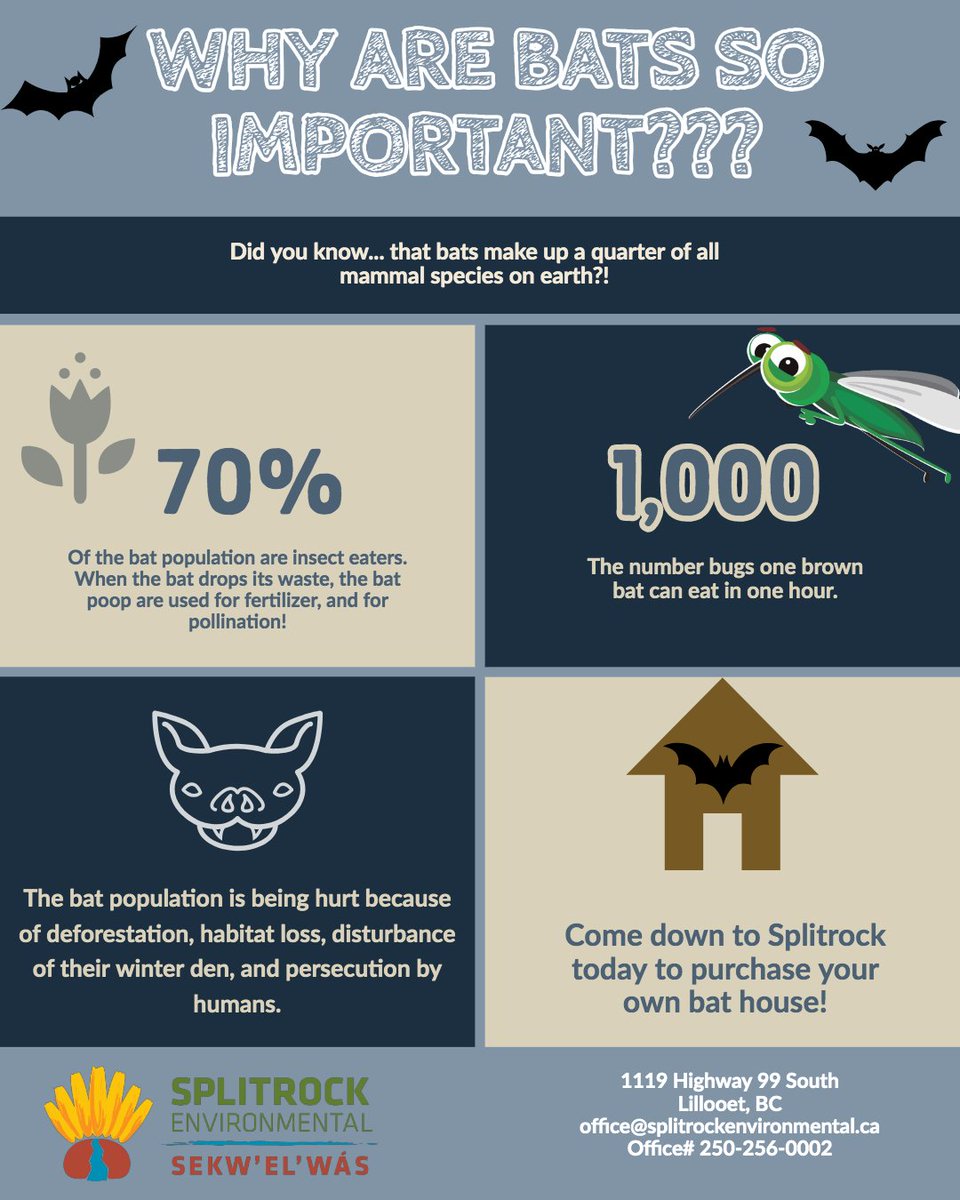 Splitrock Environmental tweet media