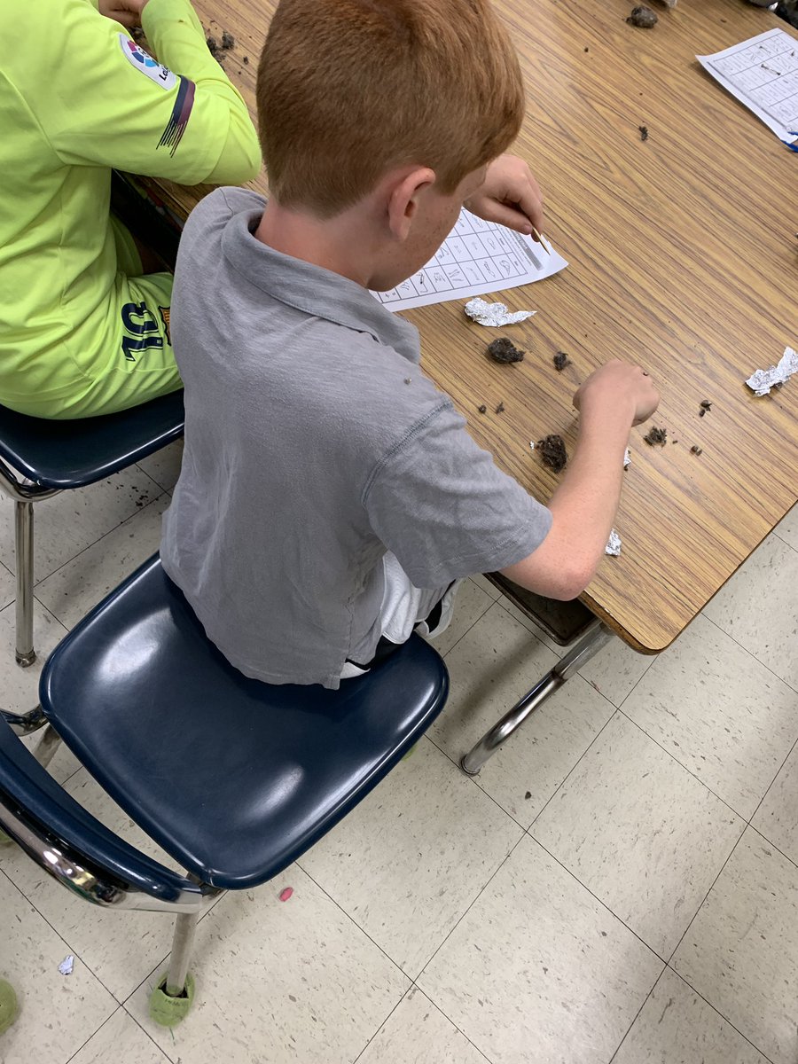 What would you expect to find in an owl pellet?  Check out what our 4th grade students in Ms Marceth’s science class discovered.  #STEAM #palipride #projectbasedlearning