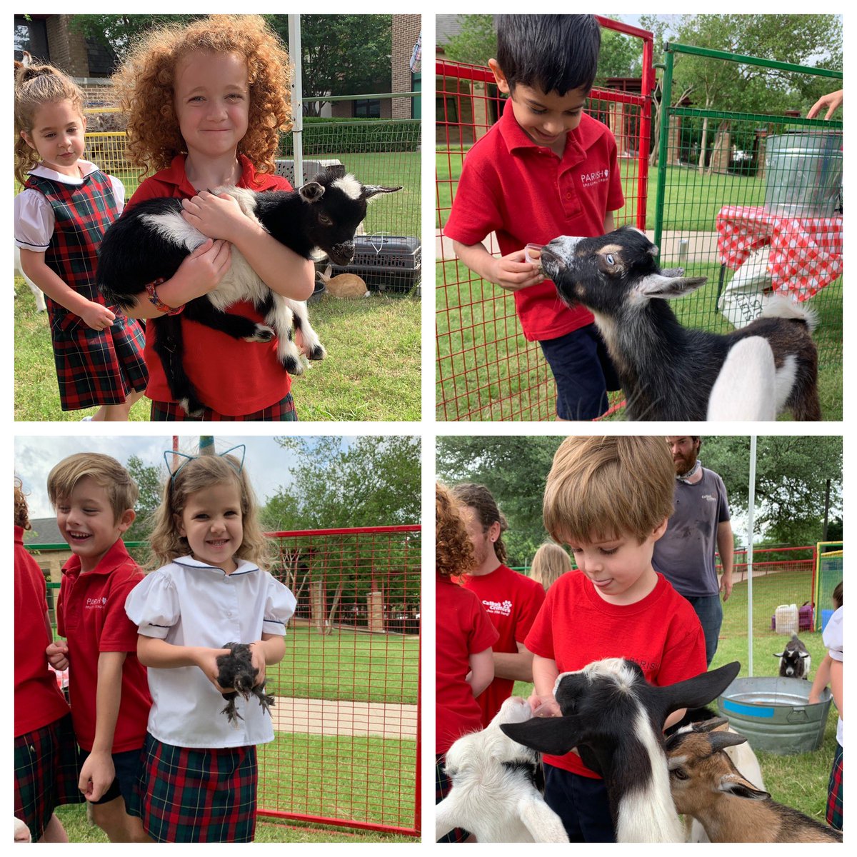 PreKS205 tweet media