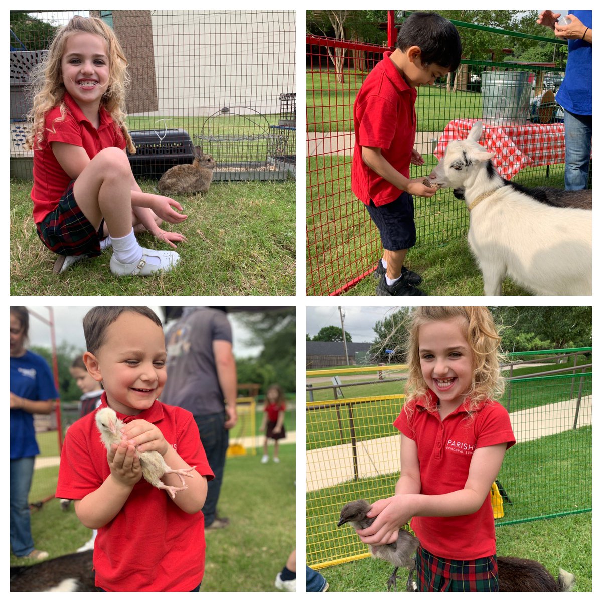 PreKS205 tweet media