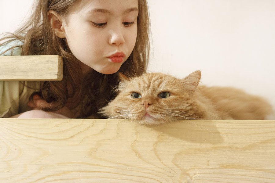 myCVETS's tweet image. Is your cat trying to tell you something? Pay attention to your cat's body language to glean information regarding their state of mind. Read more on our blog. #catmood #catlanguage  
ow.ly/Ftu850uo2f5…th-body-language/