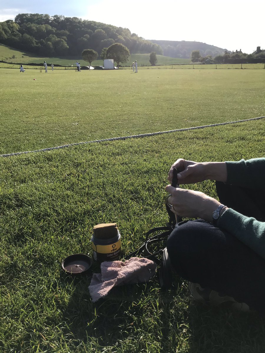 Perfect spring evening ... cricket and tack cleaning #multitasking #tackcleaning #horses