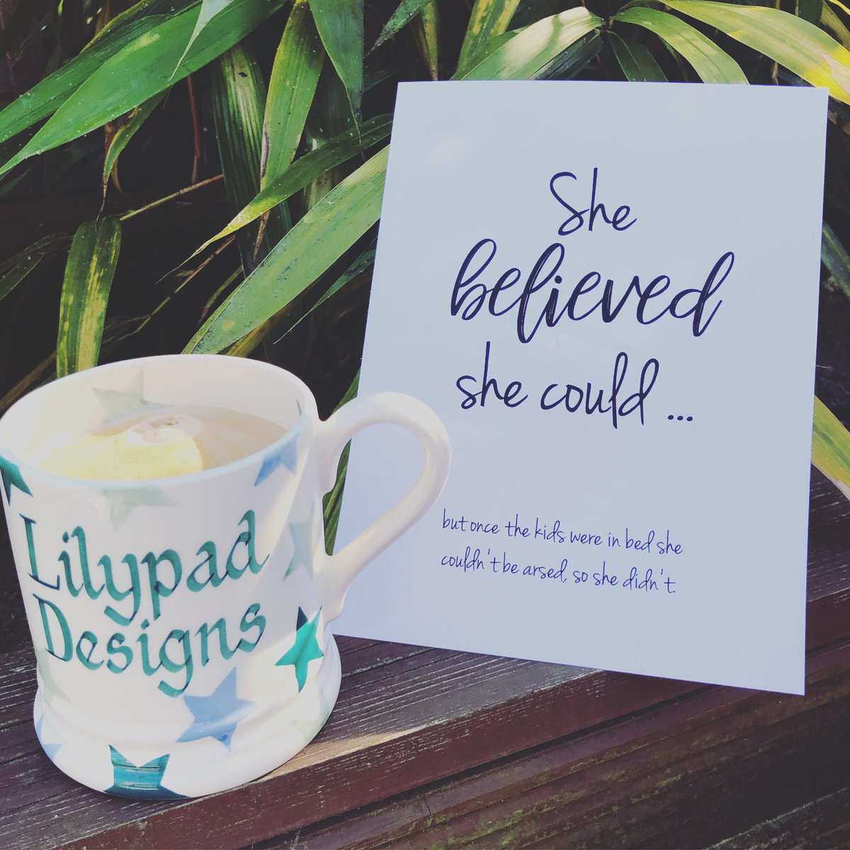 Lilypad_Designs's tweet photo. She believed she could ... but once the kids were in bed she couldn't be arsed, so she didn't. https://t.co/Pmwsbt6eZt