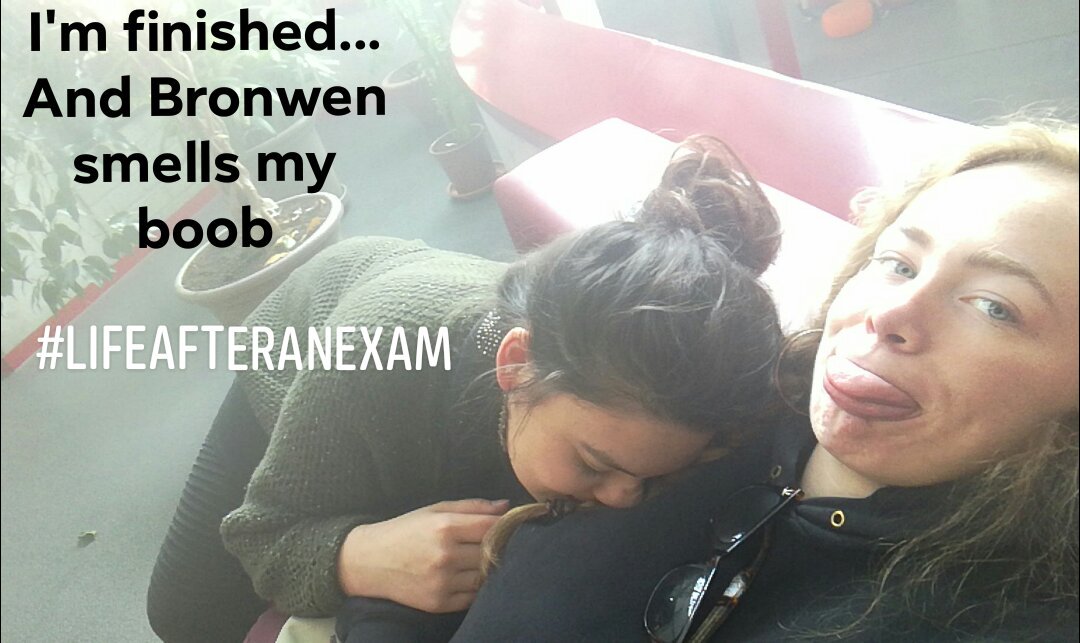 XThatblondgirl's tweet photo. Or as I call it: #FriendshipGoals
#2yearsoffriendship #lifeafteranexam #dewegvooruit #opnaarnummer2 https://t.co/rHVb3Ma8n8