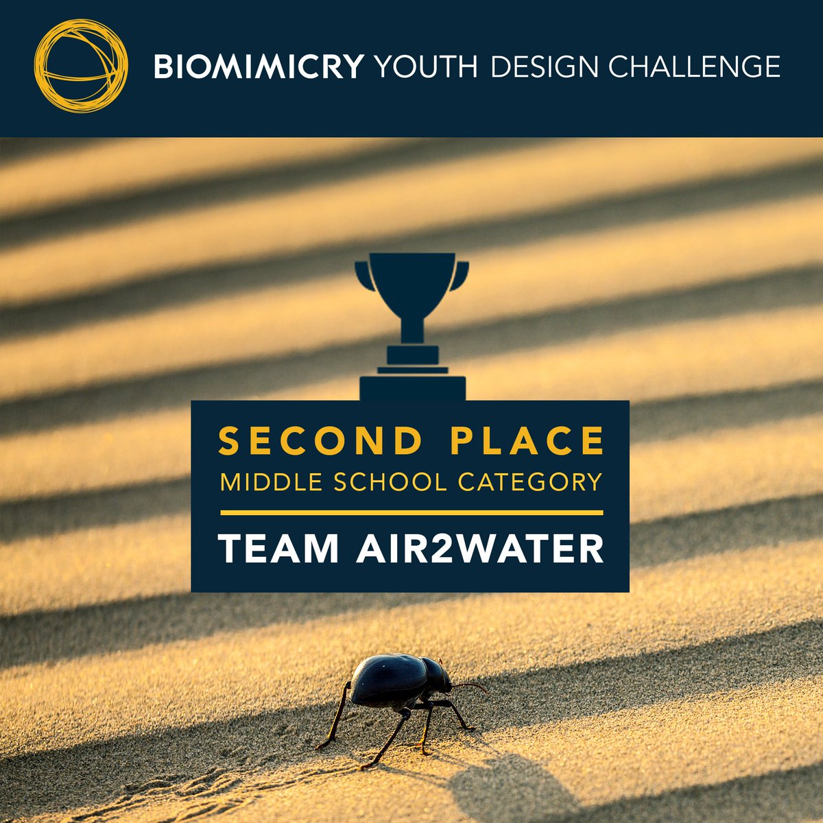 BiomimicryInst's tweet photo. Meet team Air2Water, the 2nd place middle school team (Munster, IN) These students were inspired by the Namib Desert beetle &amp; the honey bee in their design of a roofing tile that collects H20 from moisture in the air #biomimicry #STEM #honeybee https://t.co/ONm7MJfXZX https://t.co/TWkn6ziC6t