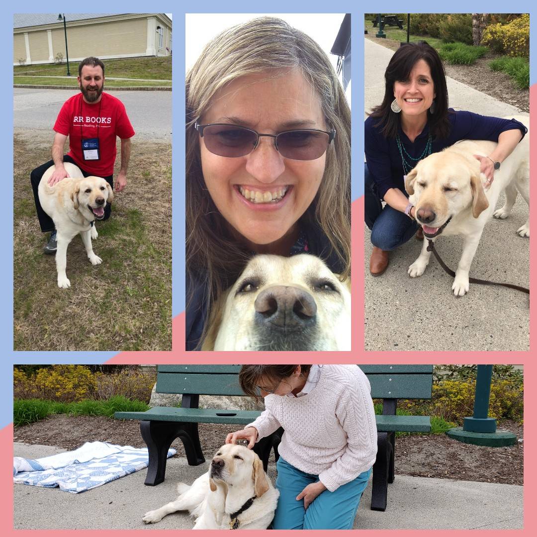 MaryRuthBooks's tweet photo. Norman and his groupies.
#norman #happybirthdaynorman #readingrecovery #maryruthbooks #readingreading https://t.co/iDfpkFIC2U