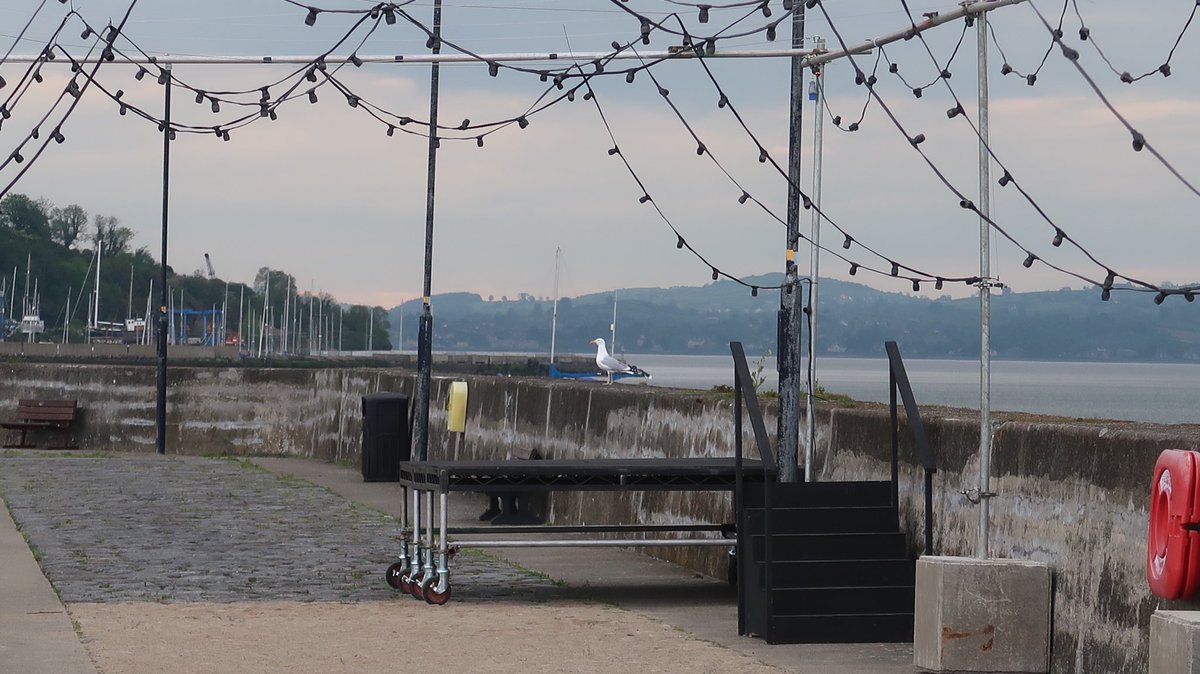 CarlingfordIRE's tweet photo. Carlingford getting ready for filming of the US romantic comedy film “There You’ll Find Me” from May 27th to June 1st.  If you are interested in being an extra please email tyfmcrowd@gmail.com including name, age, contact number, availability and a recent photo. https://t.co/vISnGP3TkO