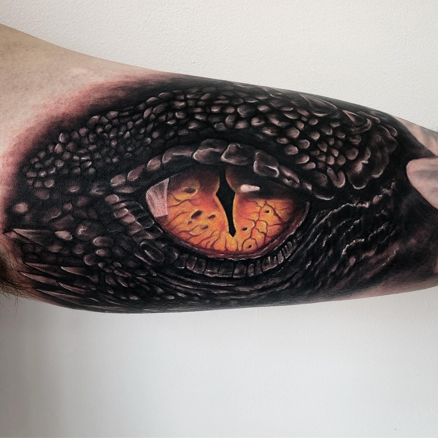 Superb Large 3D Reptile Eye Tattoo By Lizardlady333
