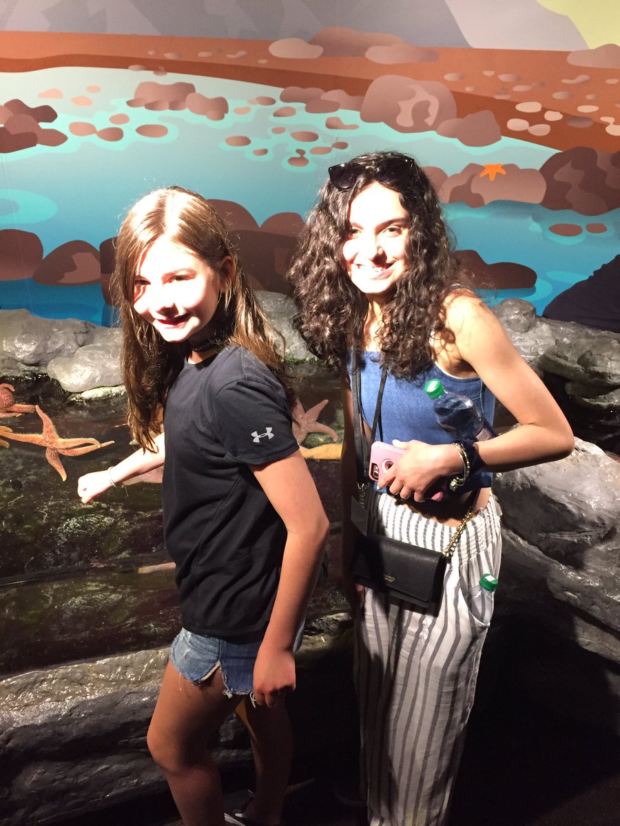 koenigjf's tweet photo. Ready for the dolphin show! #tjwillrideone #dominatelife, #whatsupsShedd, #domisback @MMSOurHouseAP #mmschi2019 https://t.co/qCaoIleMre