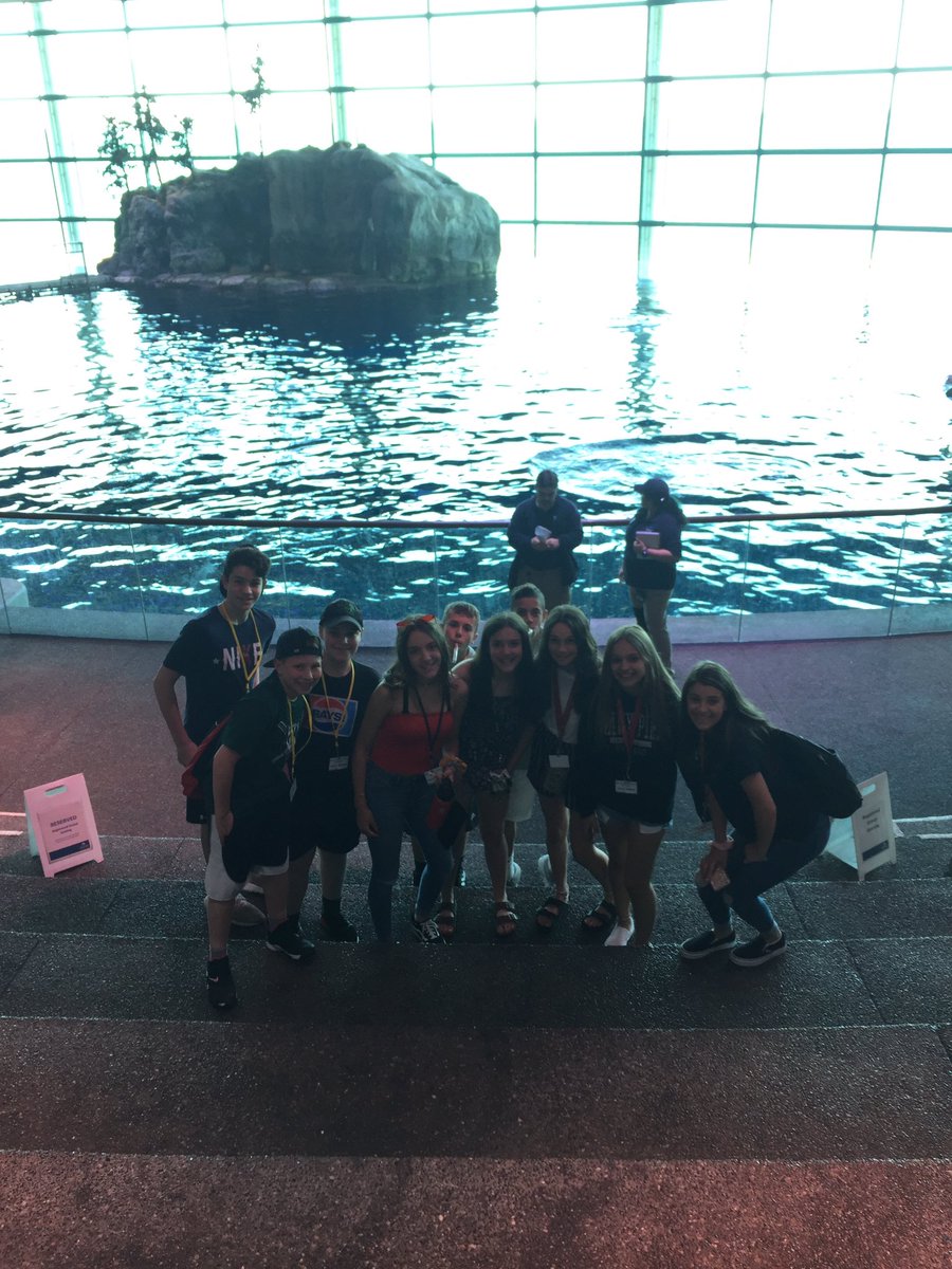 koenigjf's tweet photo. Ready for the dolphin show! #tjwillrideone #dominatelife, #whatsupsShedd, #domisback @MMSOurHouseAP #mmschi2019 https://t.co/qCaoIleMre