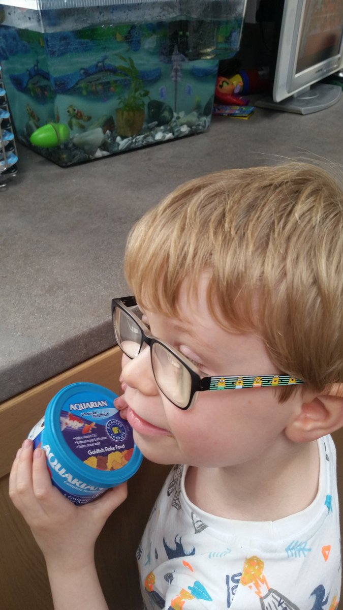 judith_galloway's tweet photo. @mattocks_ps Kyran drying the dishes, feeding Simon the fish and helping with the hoovering #MM4Mattocks https://t.co/aqdadh6iEK
