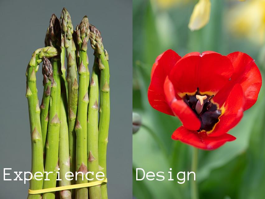 UI_vs_UX's tweet photo. This is Experience and that is Design. #Experience #Design https://t.co/jPIP3iuhgi