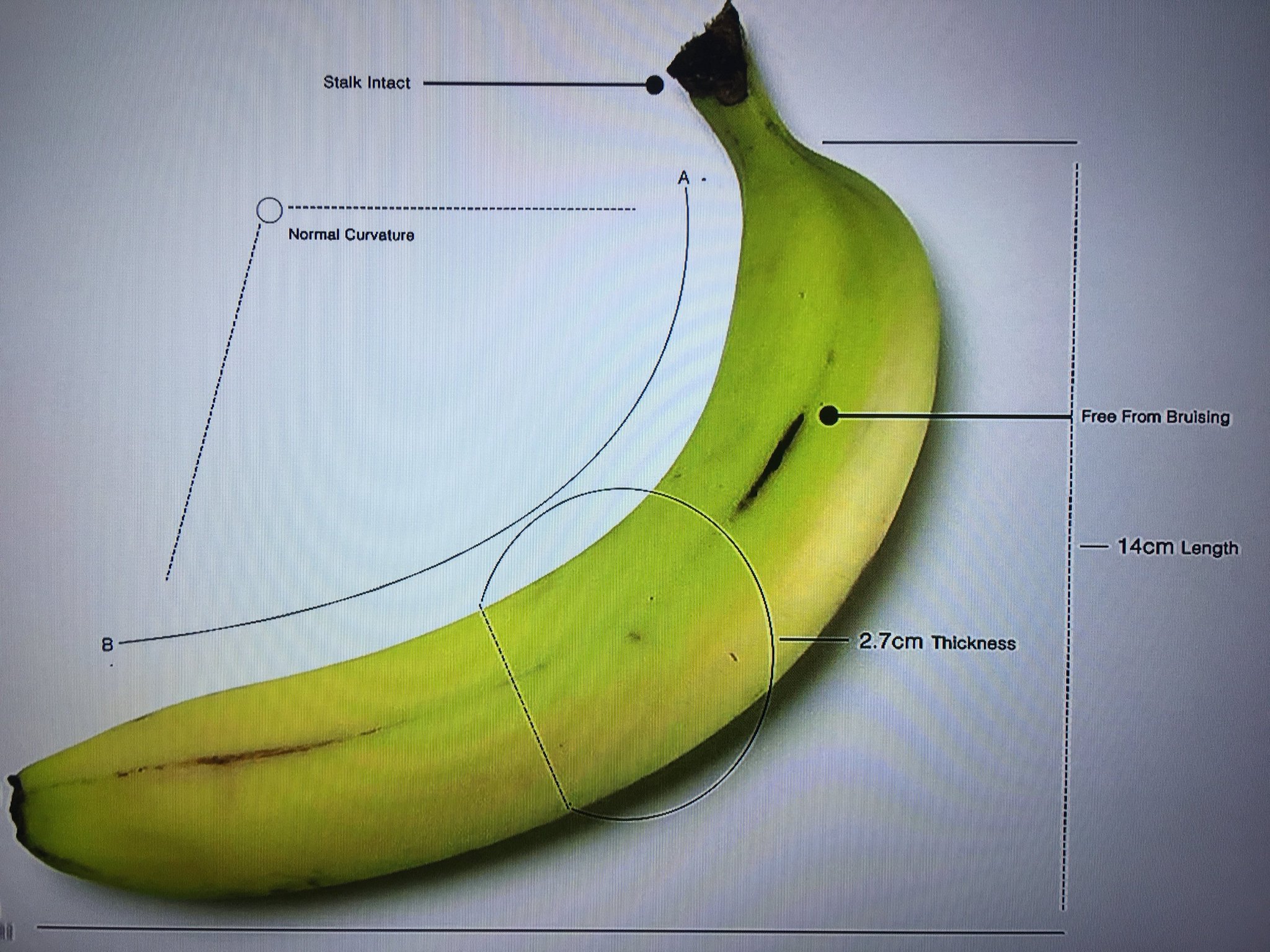 A curvatura da banana