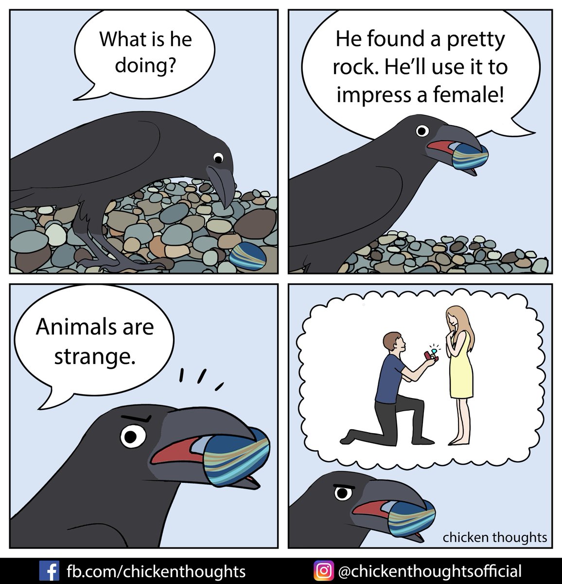 Thanks Jake Brown and Lain MB for help writing this comic :) #birb 