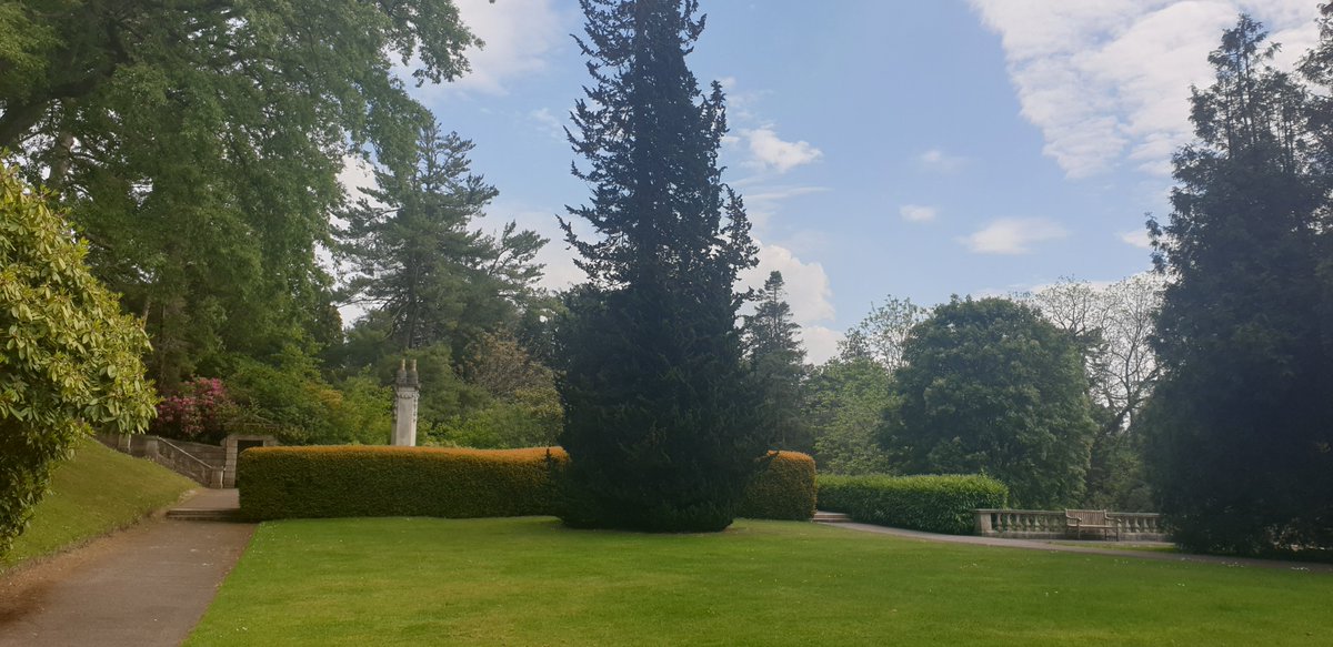 Hollie Gazzard Trust tweet media