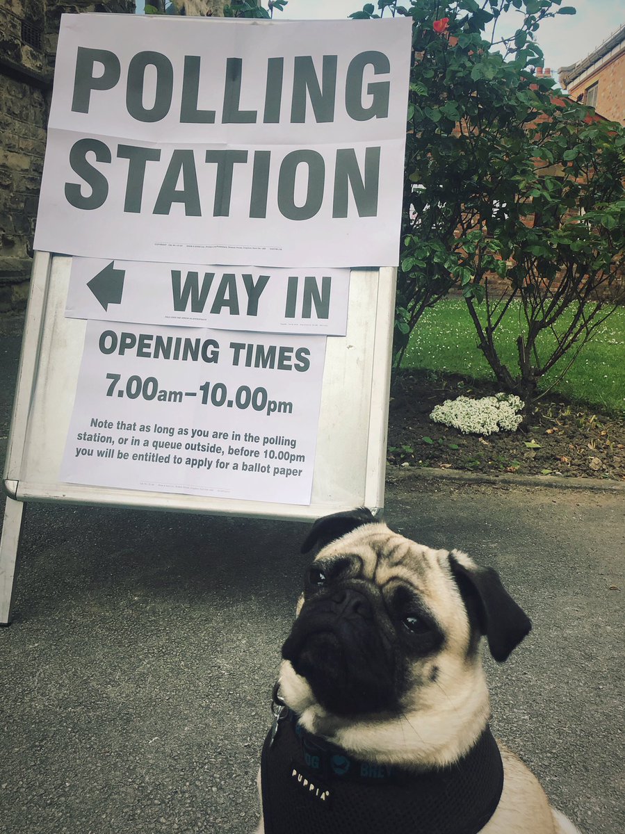 1985Jam's tweet photo. #dogsatpollingstations2019 https://t.co/KgEGungtId