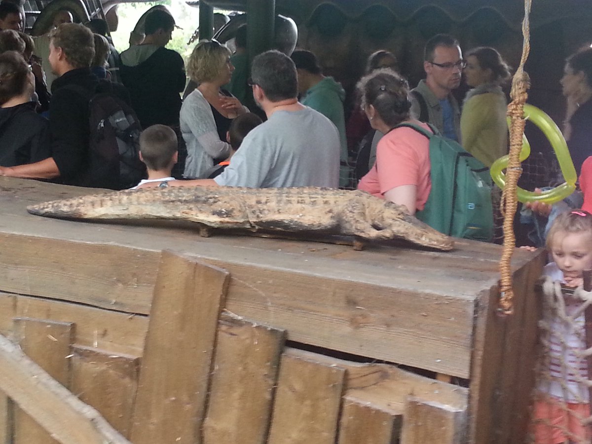 Phanta_Photos's tweet photo. Heute geht es zurück in die Tage der #Wikinger, mit einem #Krokodil aus der #WikingerBootsfahrt im #Phantasialand #Brühl. An der heutigen Stelle befindet sich #Wakobato und die #Tretboote #WözlsWassertreter https://t.co/j0uU7JwUUz