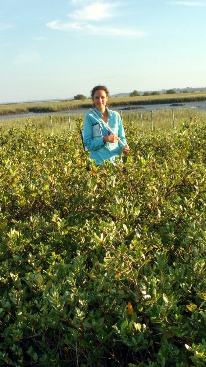 ByersEcologyLab's tweet image. Congratulations to the newest Dr. Smith! We are overwhelmingly proud of the excellent work you&apos;ve done and can&apos;t wait to see what you do next!

@Rssmith218 
#WomenInSTEM #ecology #ecosystemengineer #rangeexpansion