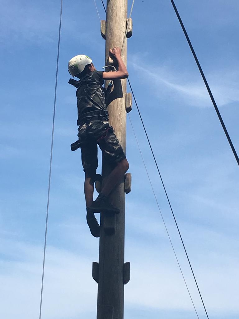 Upton Primary School tweet media