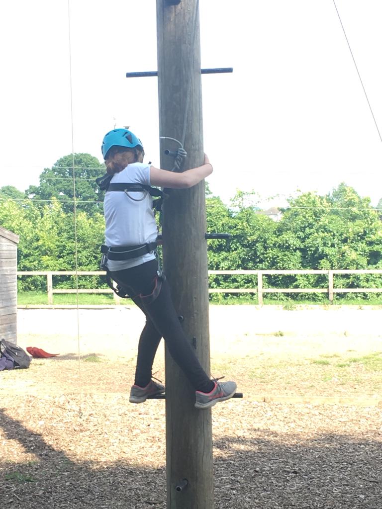 Upton Primary School tweet media