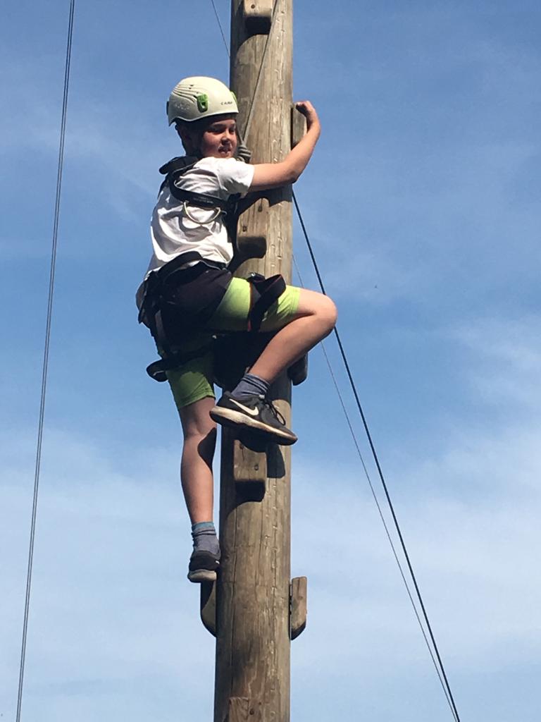 Upton Primary School tweet media